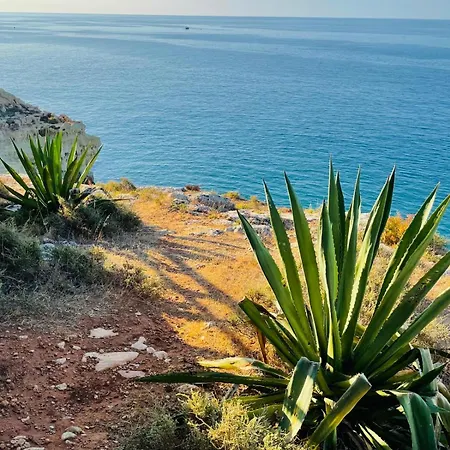 Quinta Do Paraíso *